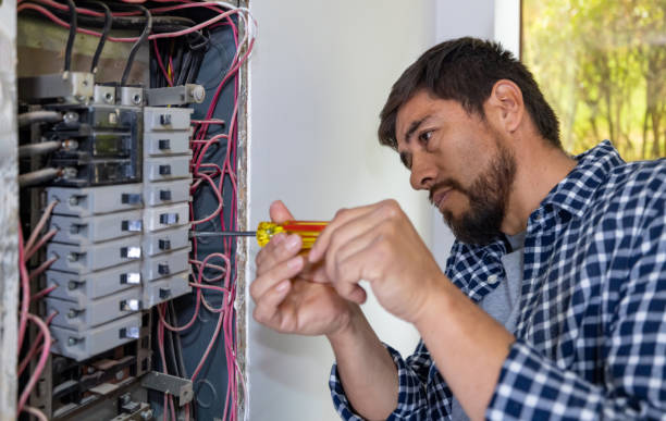 Best Ceiling Fan Installation Electrician  in Negaunee, MI